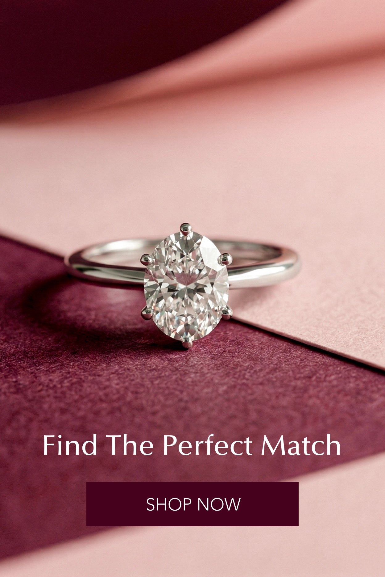 Find The Perfect Match